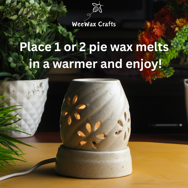 Tangerine Bliss Soy Wax Melt