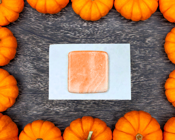 The Sassy Pumpkin WeePutty (Drills and Chills 2025)